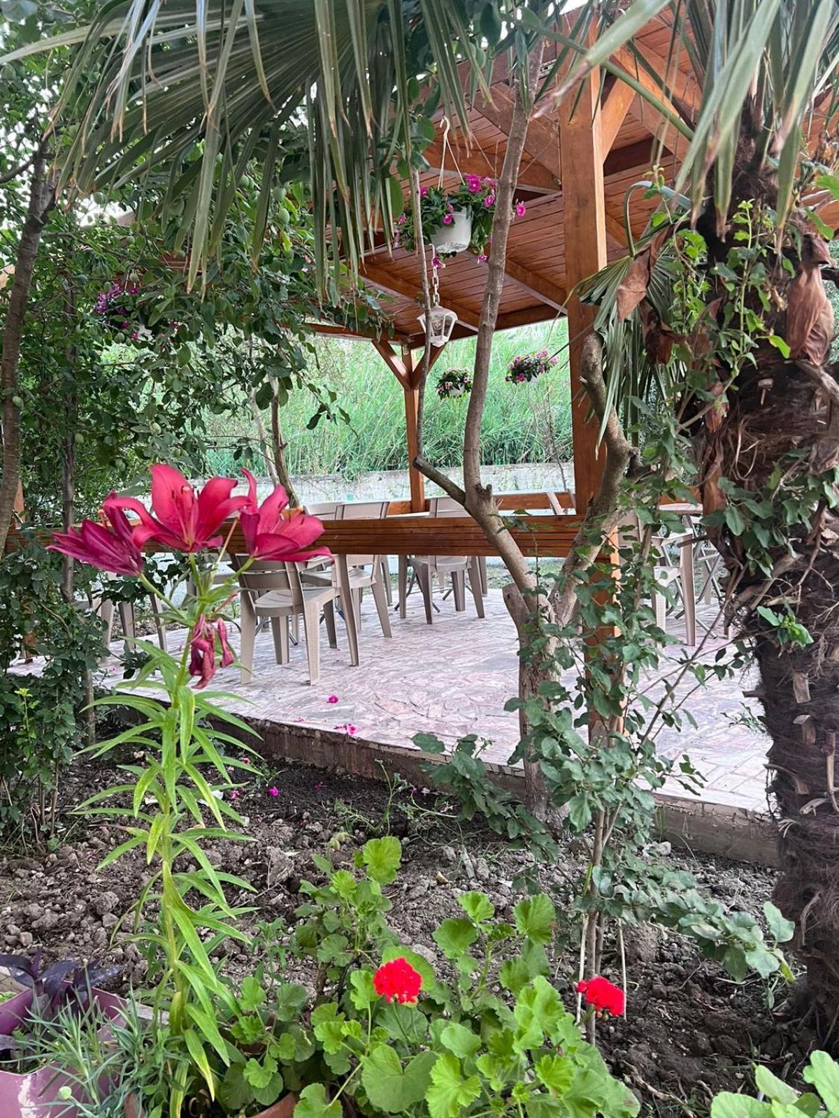 Vila Magis Avlonya Dış mekan fotoğraf
